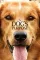 A Dog's Purpose