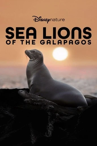 Sea Lions of the Galapagos
